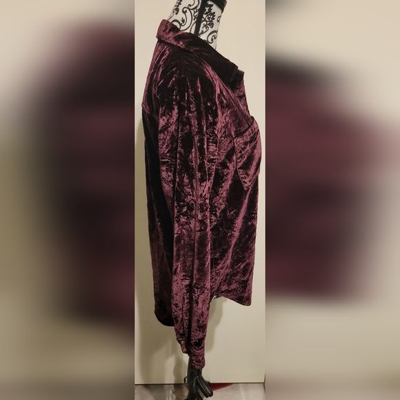 Maeve For Anthropologie Burgundy Velvet Long Sleeve Button Down Shirt Women’s 6‎ - Picture 2 of 6